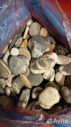 Камни и ракушки для декора и аквариума, поделок
