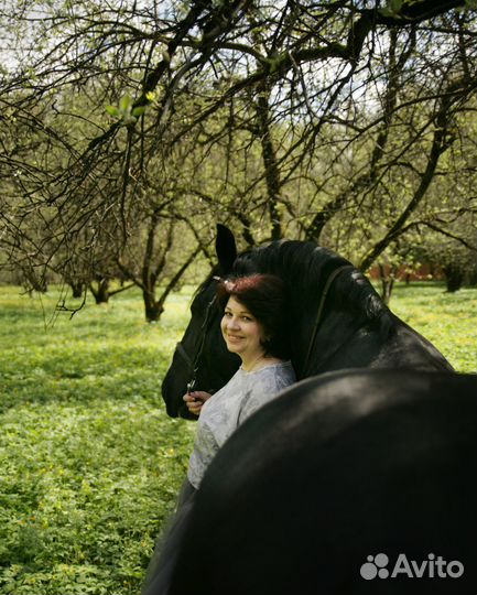 Фотосессии под индивидуальный заказ (Москва, мо)