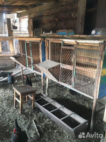 Клетка для кролика большая