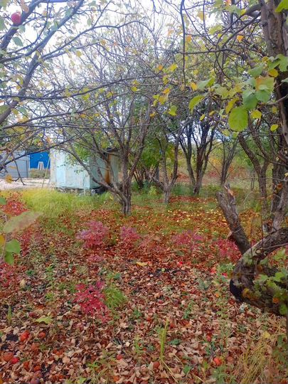 Дача 10 м² на участке 6 сот.