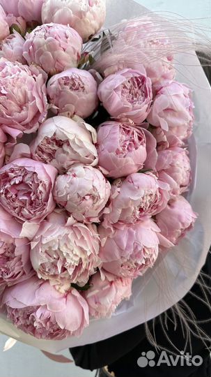 Букет из пионов. 31 штука