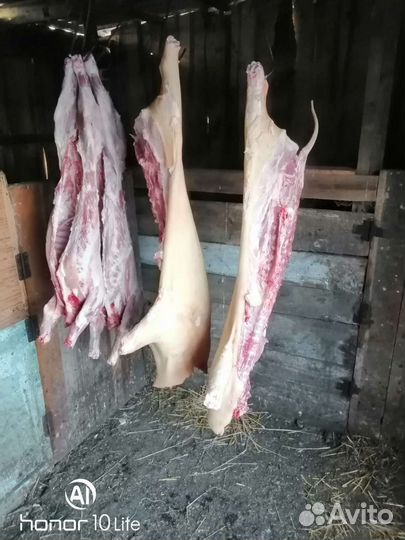 Продукты питания