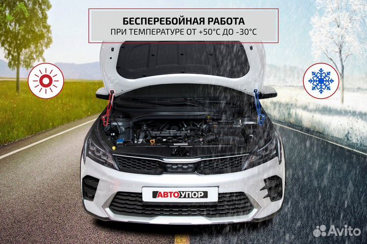 Газовые упоры капота Ford Focus II 05-11