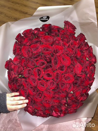 Букет 101 роза красная