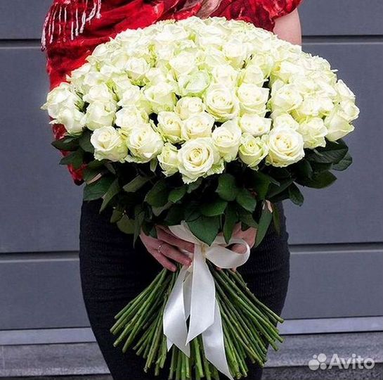 Высокие розы Гигантские розы Доставка цветов