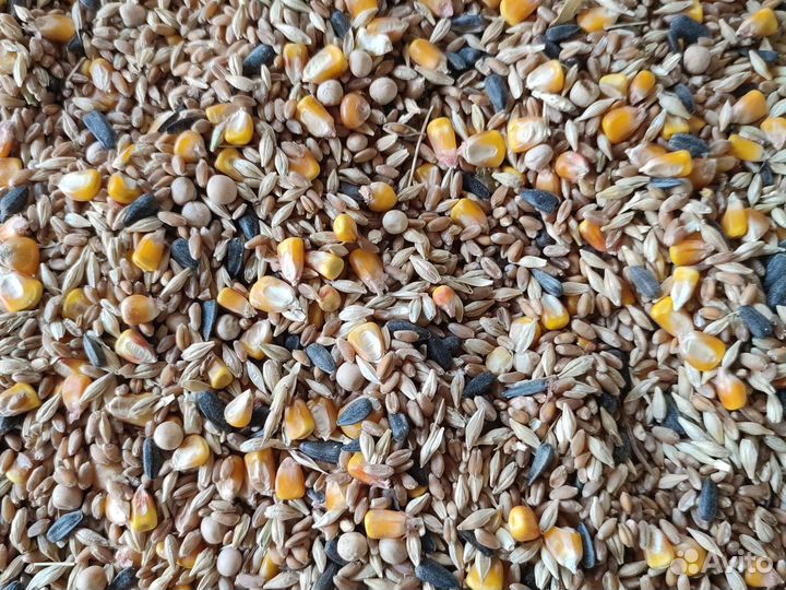 Зерносмесь