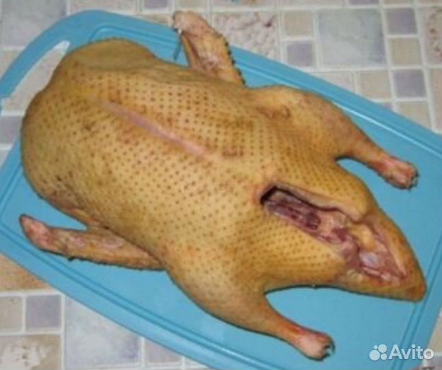 Домашнее мясо кролика, утки, курицы