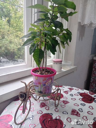 Подставка велосипед ручной работы для цветов