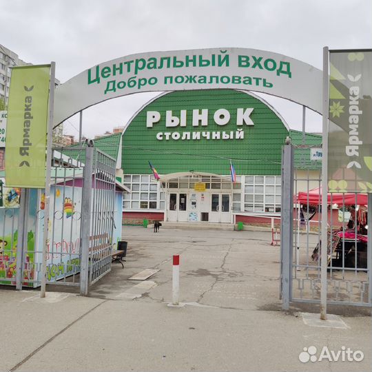 Магазин спортивного питания