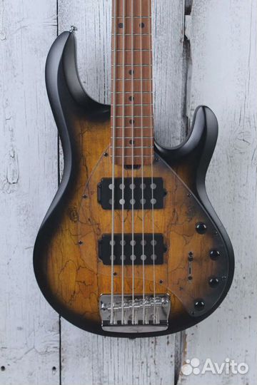 Бас-гитара Sterling by Music Man StingRay35 HH 5 S