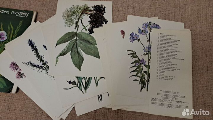 Открытки лекарственные растения выпуск 4 и 5