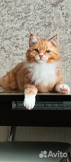 Интерьерная игрушка котик