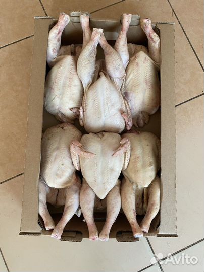 Мясо домашнего бройлера