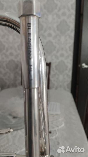 Труба blessing ML-1