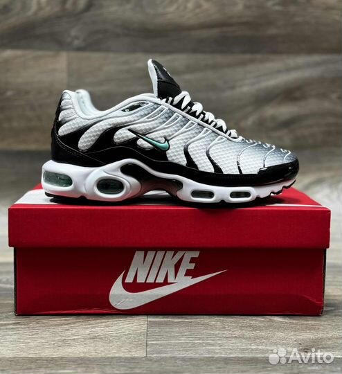 Кроссовки Nike Air Max TN Plus Silver