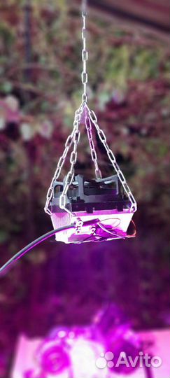 Светильник Фито светодиодный для растений 100Вт