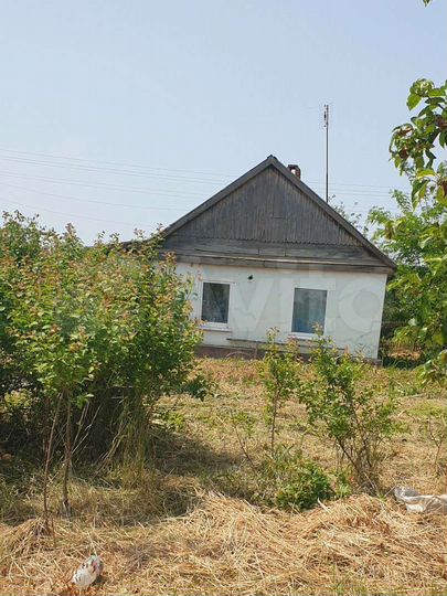 Участок 25 сот. (ИЖС)