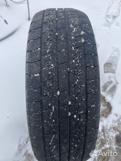 Nexen Winguard Ice 205/60 R16