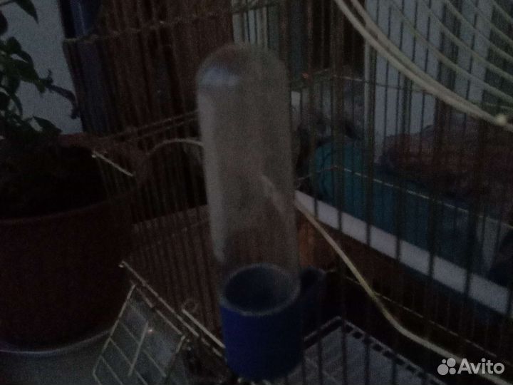 Клетка для попугая