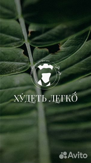 Логотип/листовка/презентация/гайд