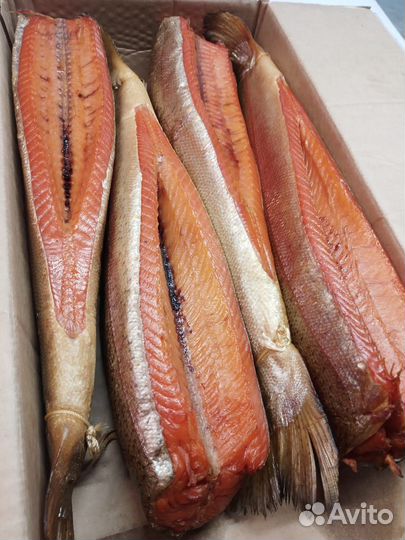 Форель балык, холодного копчения