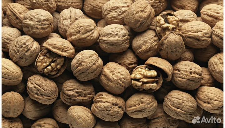 Орех грецкий