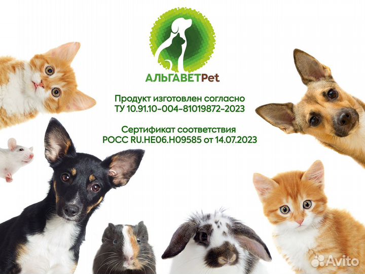 Живая хлорелла для животных Альгавет Pet 3,0 л