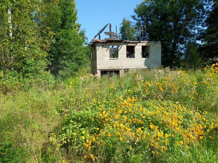 Участок 11,4 сот. (ИЖС)