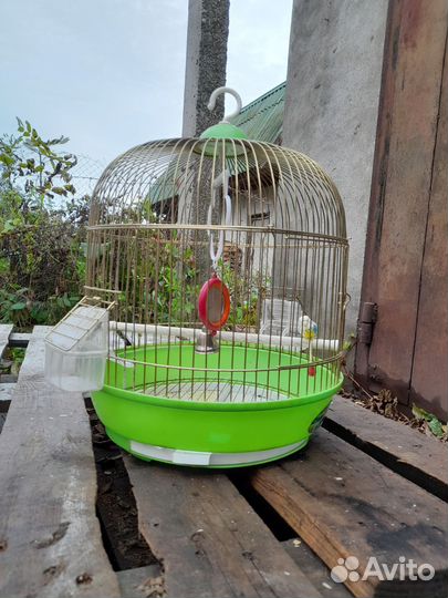 Клетка для попугая. Клетка для птиц