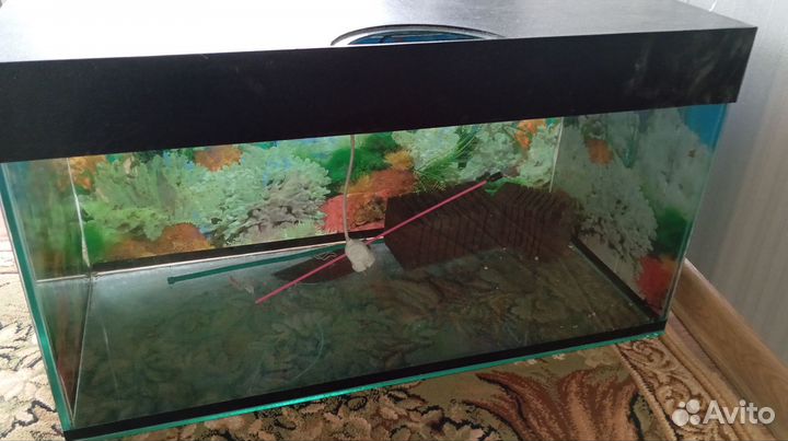 Аквариум