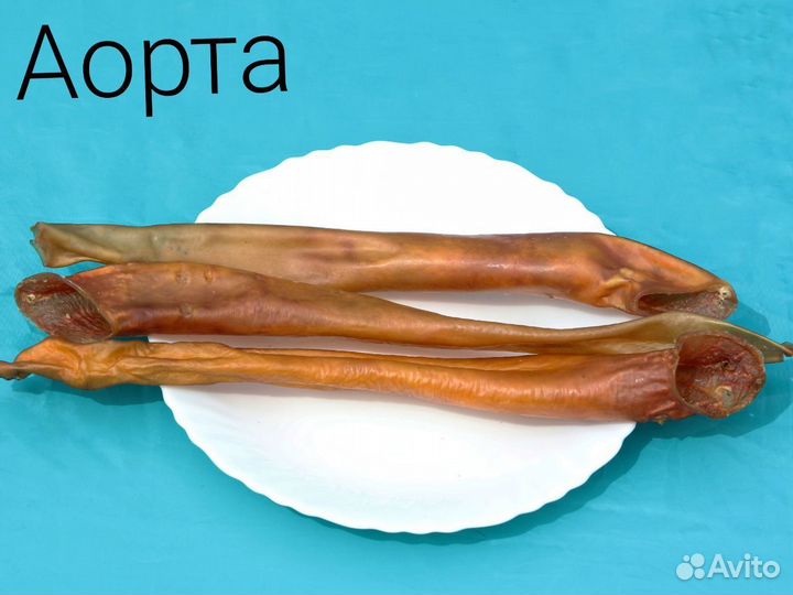 Сухие лакомства для собак