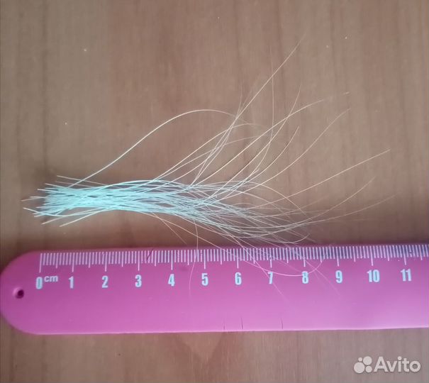 Кошачьи усы