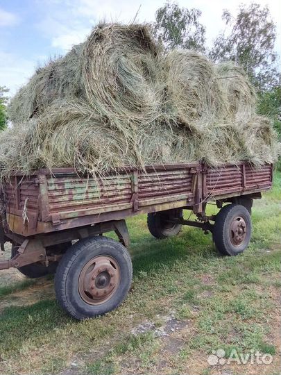 Продам сено в рулонах
