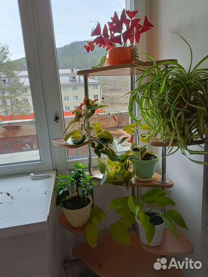 Подставка под цветы