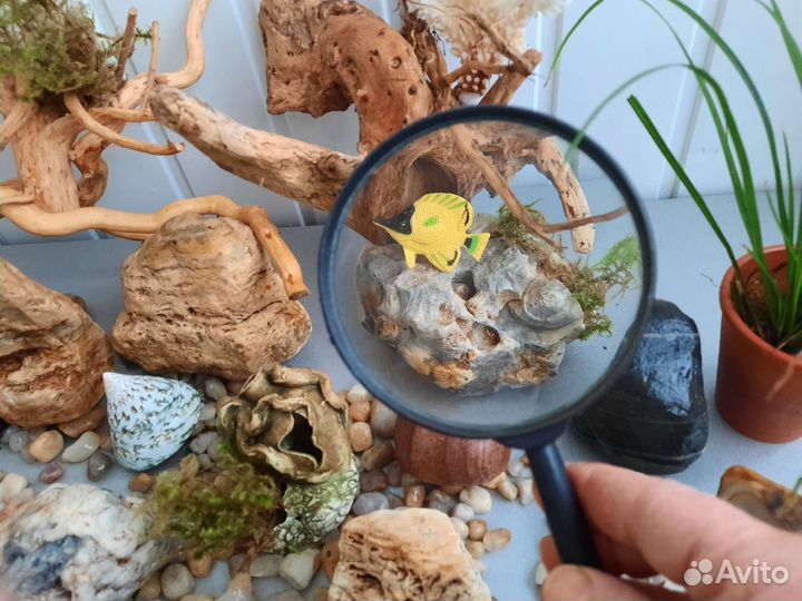 Аквариум грунт