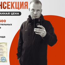 Уничтожение клопов, тараканов. Дезинфекция