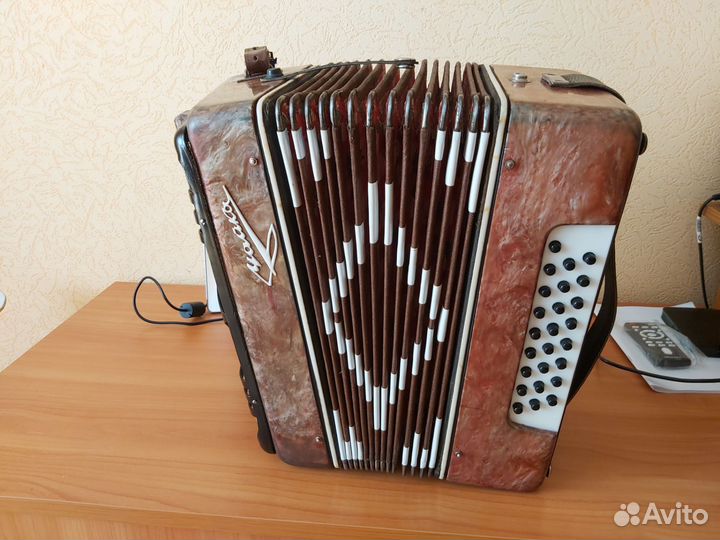 Шуйская гармонь чайка