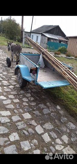 Упряж Осел. Обмен варианты
