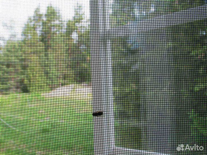 Москитная сетка RSB RAL3703