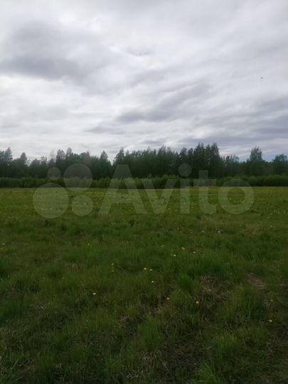 Участок 3,17 га (СНТ, ДНП)