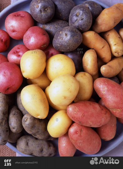 Коробко Картофеля