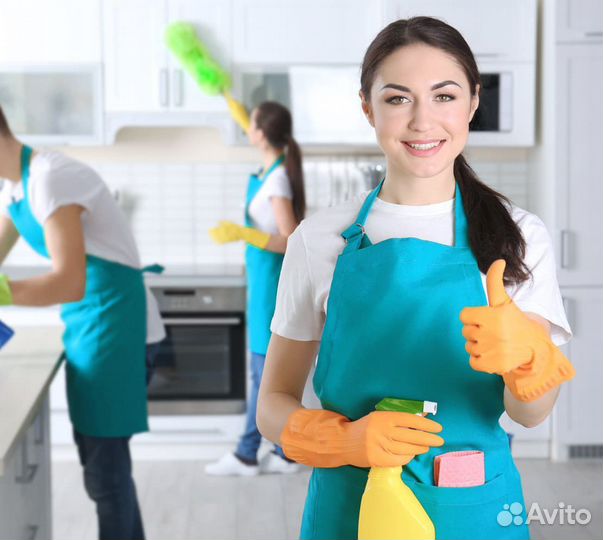Клининг уборка квартир мытье окон химчистка