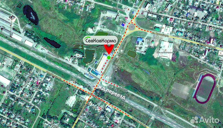 Дружок корм для собак