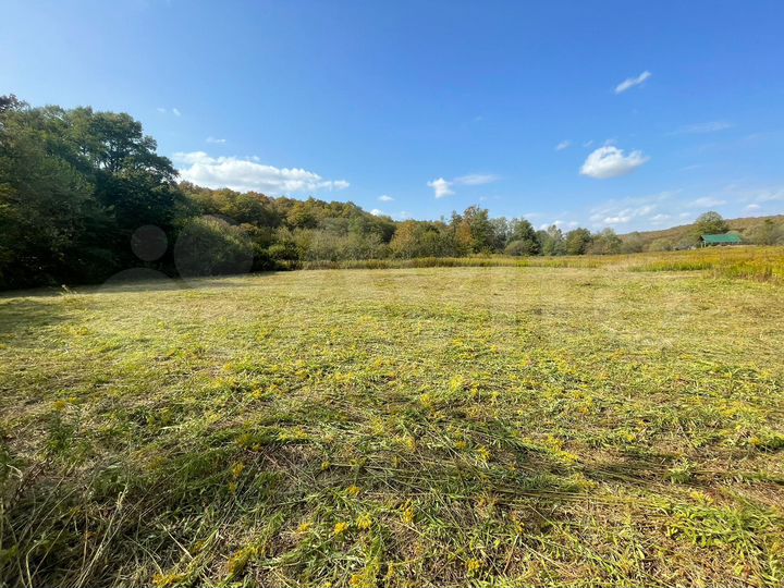 Участок 51 сот. (СНТ, ДНП)