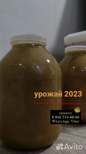 Мёд Алтайский