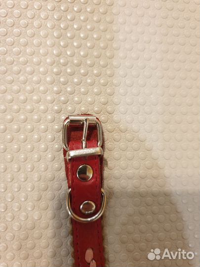 Ошейник для собак мелких пород