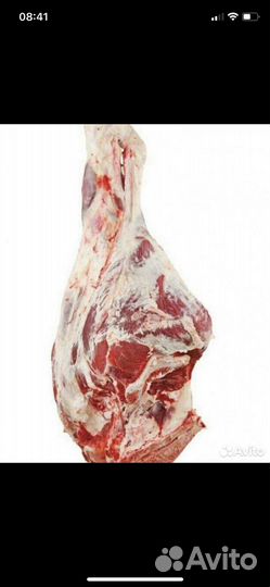 Продается мясо свинина говядина домашняя