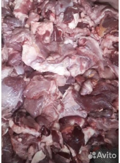 Мясо говядины холяль