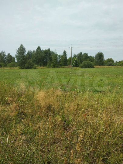 Участок 5 га (СНТ, ДНП)