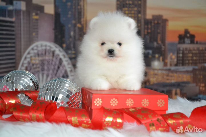 Новогодний подарок